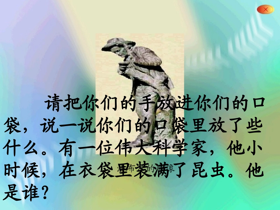 装满昆虫的衣袋 (2)_第2页