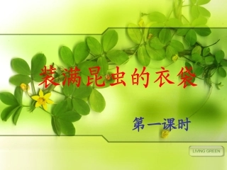 装满昆虫的衣袋 (2)