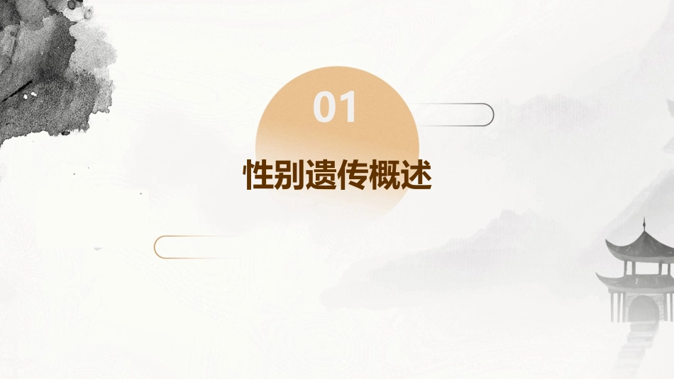 第四节人的性别遗传课件_第3页
