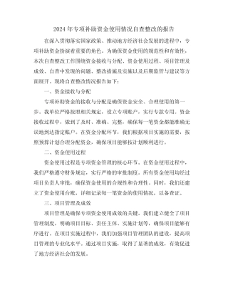 2024年专项补助资金使用情况自查整改的报告 
