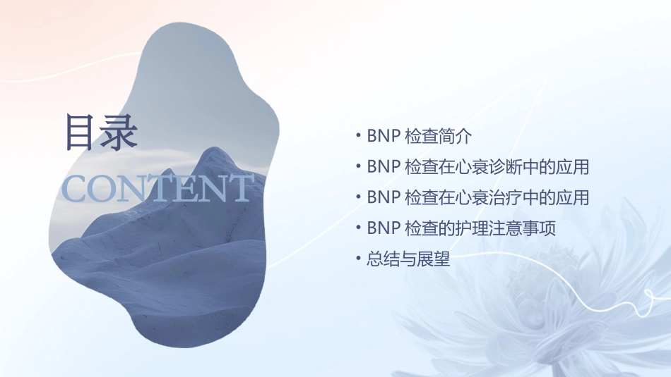 BNP检查临床意义护理课件_第2页