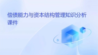 偿债能力与资本结构管理知识分析课件1