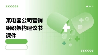 某电器公司营销组织架构建议书课件