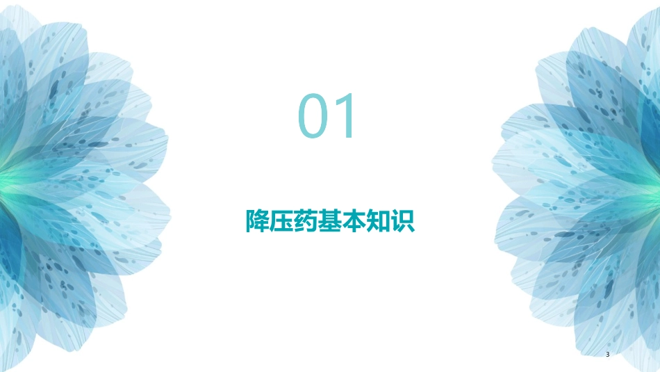 t降压药处方审核护理课件_第3页