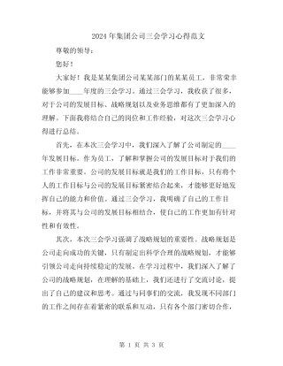 2024年集团公司三会学习心得范文