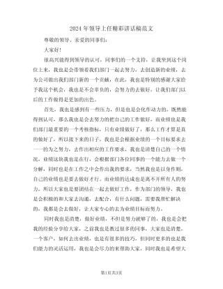 2024年领导上任精彩讲话稿范文(2)