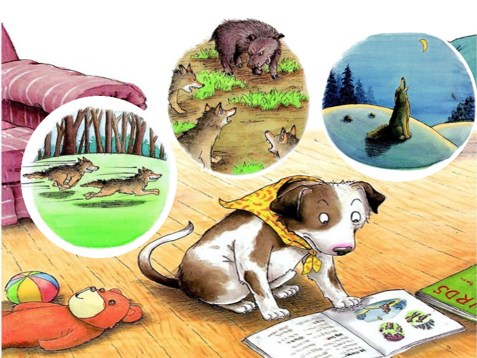 《像狼一样嚎叫》课件_第3页