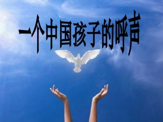 《一个中国孩子的呼声》课件