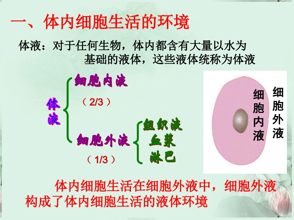 高中生物-第一章第一节细胞生活的环境课件-新人教版必修3_第2页