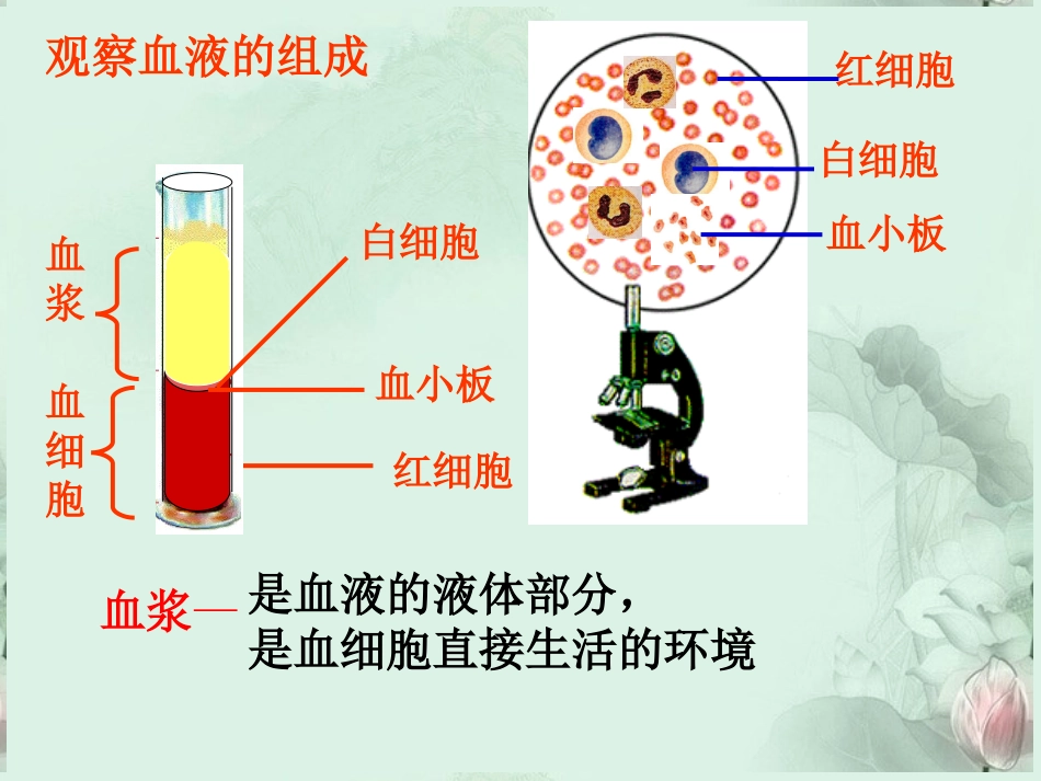 高中生物-第一章第一节细胞生活的环境课件-新人教版必修3_第3页