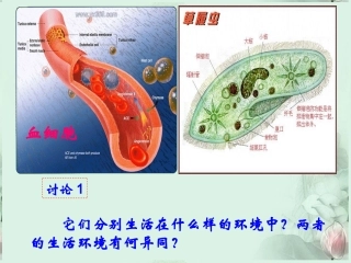 高中生物-第一章第一节细胞生活的环境课件-新人教版必修3