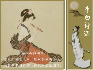 (部编)初中语文人教2011课标版七年级下册春夜洛城闻笛-(4)