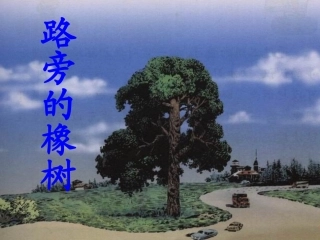 《路旁的橡树》公开课唐莉
