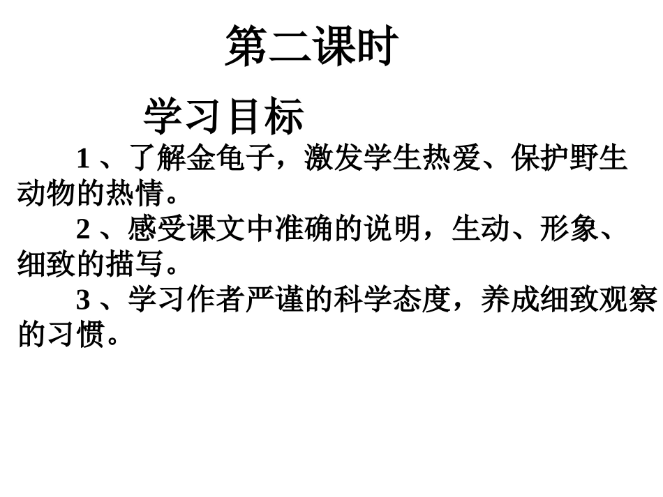 松树金龟子(第二课时)_第1页