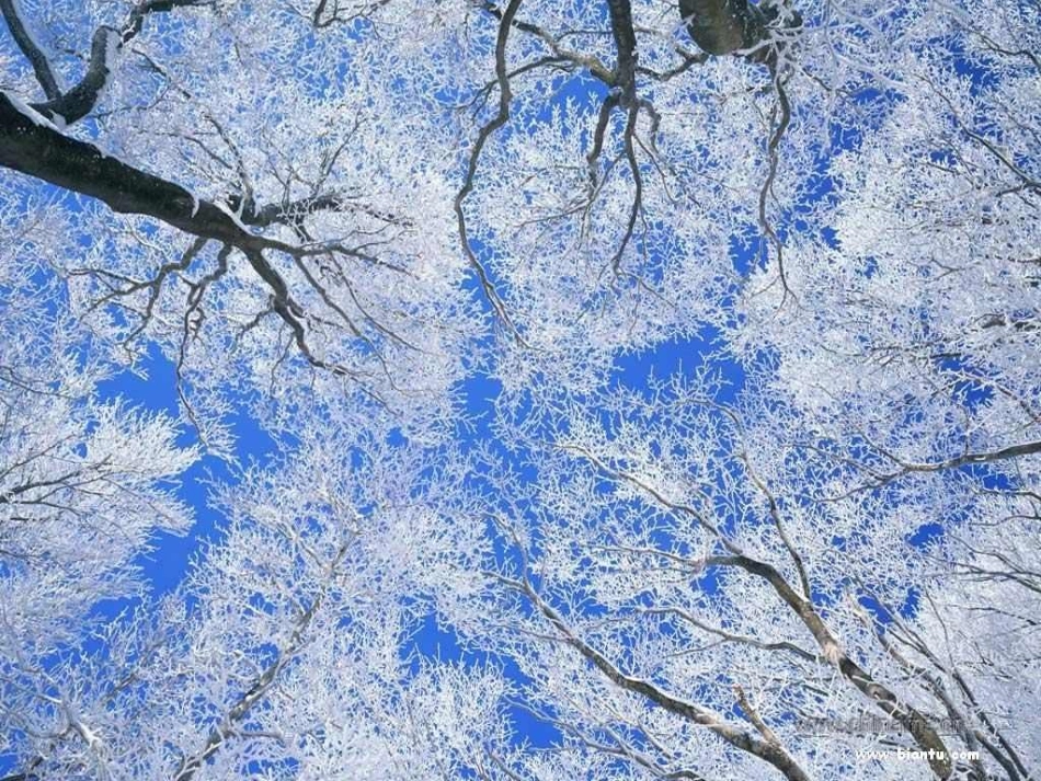 七年级下册-《济南的冬天》_第3页