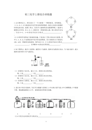 上册化学综合用