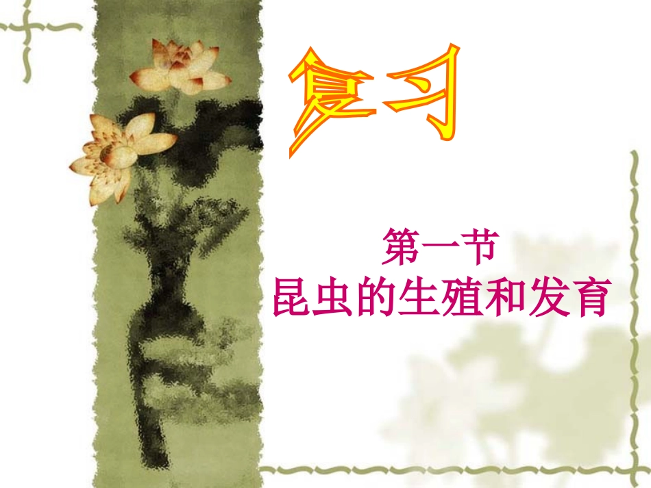 广东省珠海市斗门区城东中学八年级生物上册《19.2.2-青蛙和鸟的生殖和发育》课件-北师大版_第1页