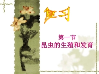 广东省珠海市斗门区城东中学八年级生物上册《19.2.2-青蛙和鸟的生殖和发育》课件-北师大版