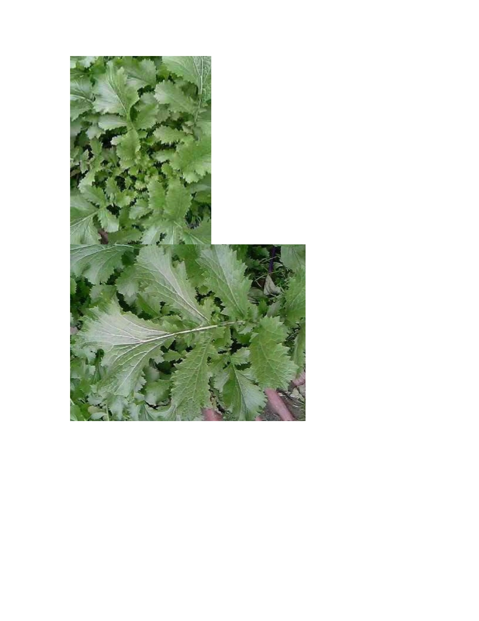 腰突治疗方法_第3页