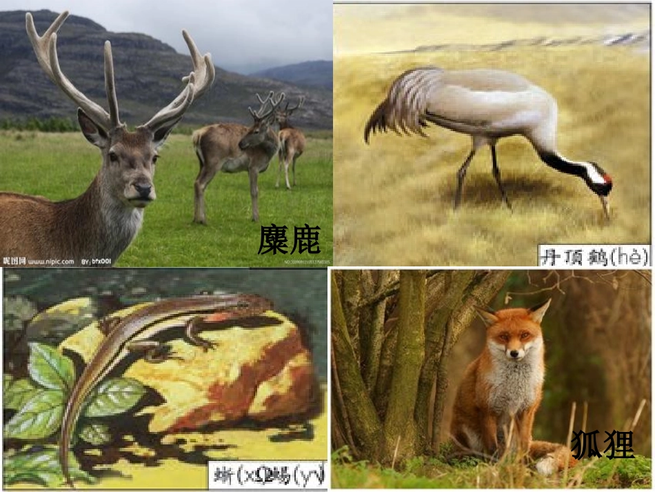 1.加法第1课时三位数的不连续进位加法_第2页