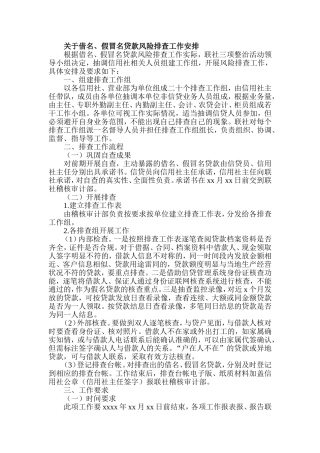 关于借名、假冒名贷款风险排查工作安排