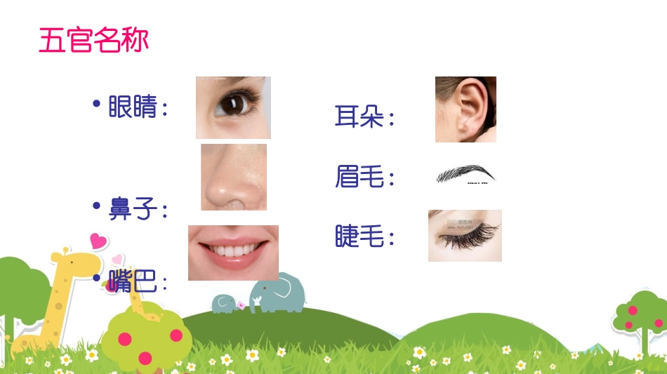 第二册1.画自己课件_第3页