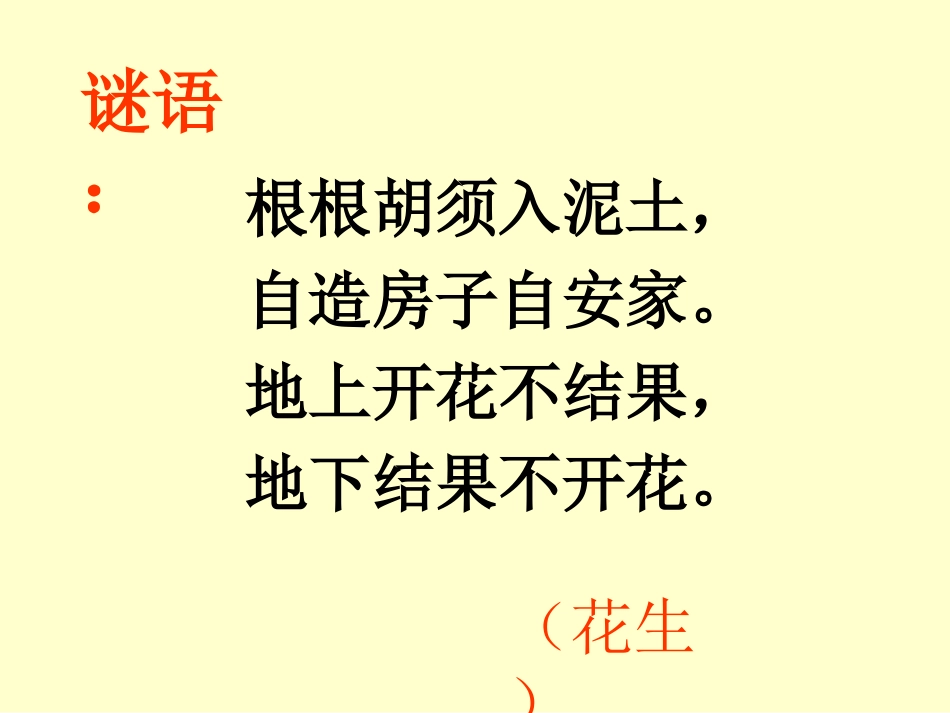 15《落花生》ppt课件4_第1页