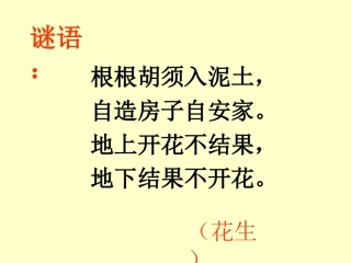 15《落花生》ppt课件4