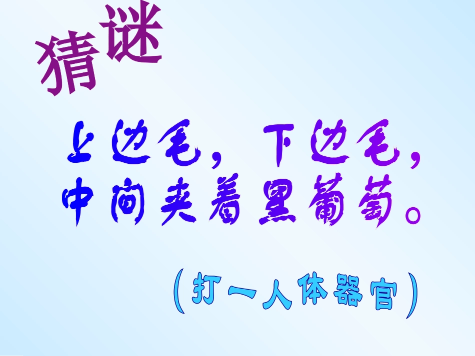 5.15.2.一.眼与视觉_第1页