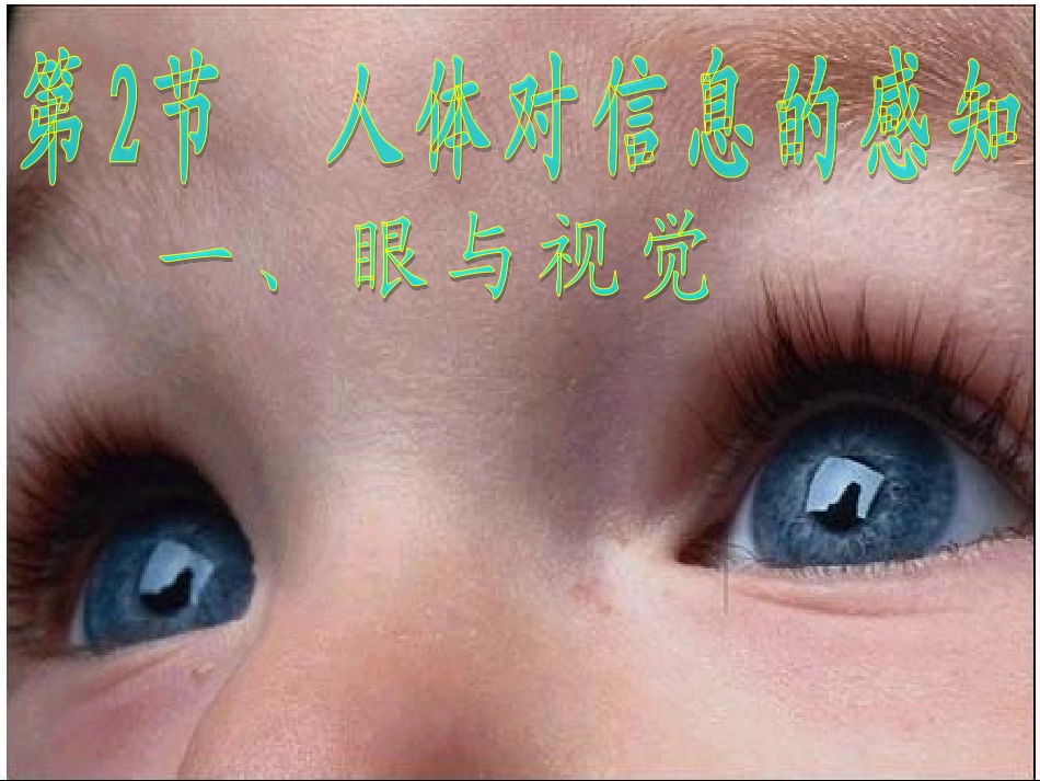 5.15.2.一.眼与视觉_第2页