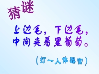 5.15.2.一.眼与视觉