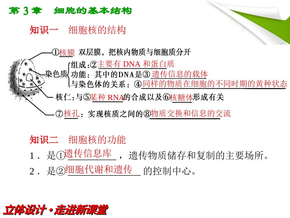 【立体设计】2012高考生物-第3讲-细胞核——系统的控制中心知识研习课件-新人教版必修1_第3页