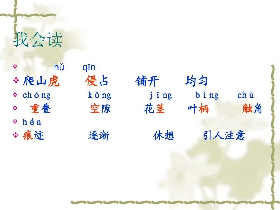 《爬山虎的脚》课件_第2页