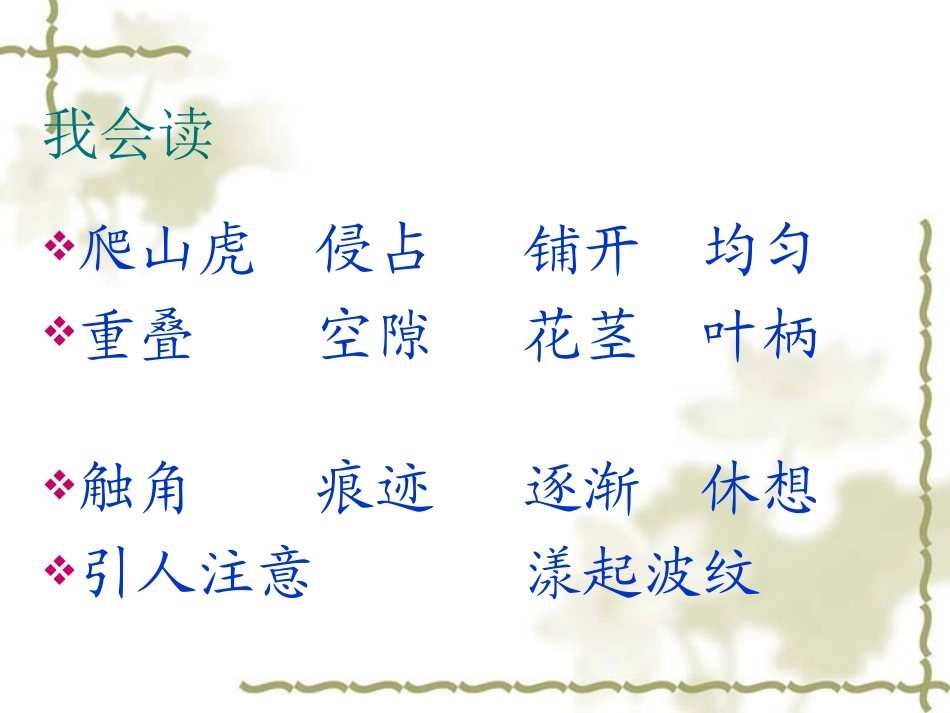 《爬山虎的脚》课件_第3页