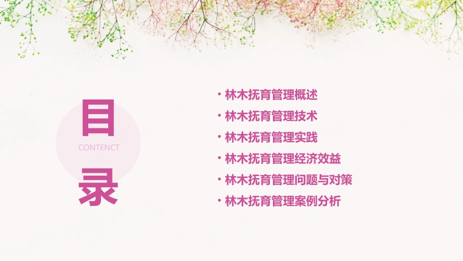 林木抚育管理课件_第2页