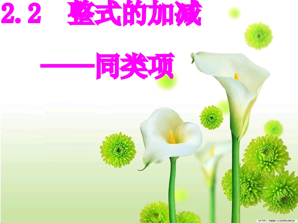 2.2整式的加减1-同类项_第1页
