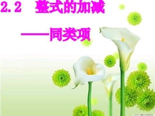 2.2整式的加减1-同类项