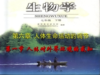 人体对外界环境的感知