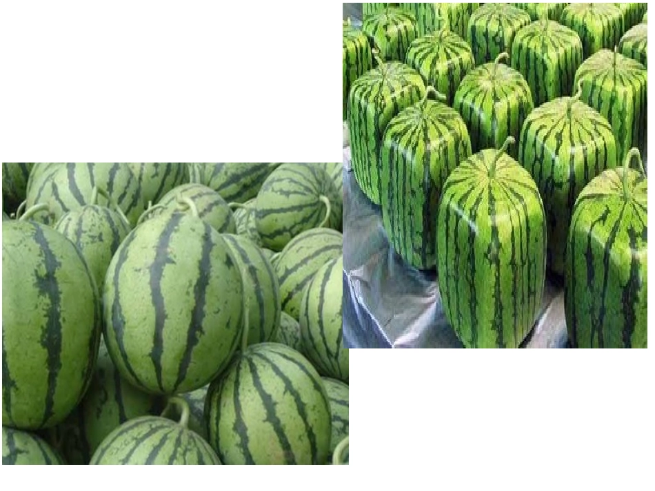 34农业的变化真大_第2页