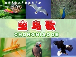 《虫鸟歌PPT课件》