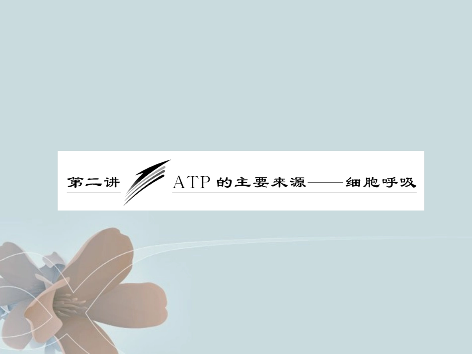 【三维设计】2012高考生物一轮复习-第三单元-第二讲--TP的主要来源——细胞呼吸课件-必修1_第1页