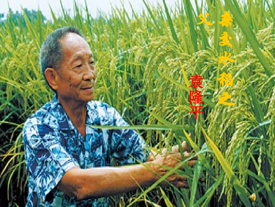 苏教版五年级上册语文《诺贝尔》公开课课件PPT_第3页