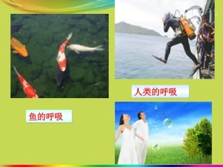 课题二----氧气(1