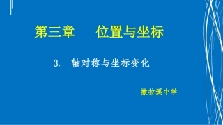 3.轴对称与坐标变化