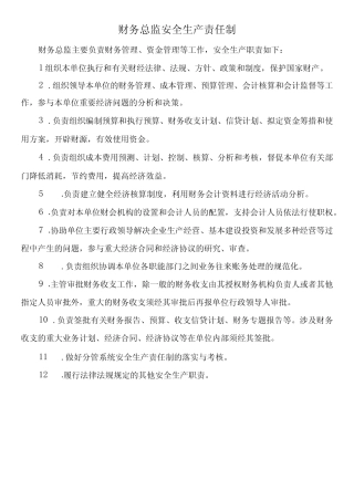 财务总监安全生产责任制 