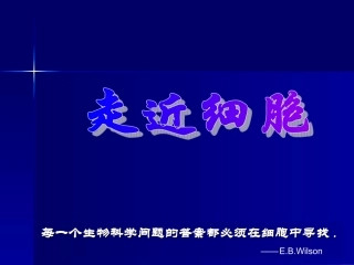 第三节细胞质