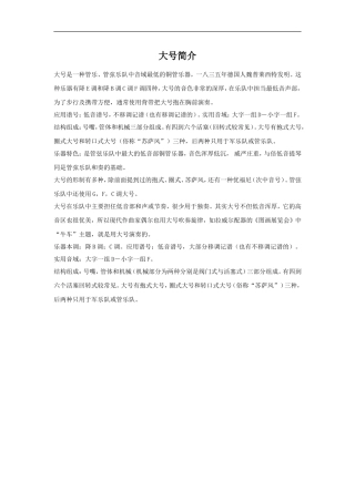 大号简介-1