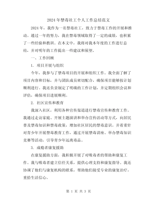 2024年禁毒社工个人工作总结范文