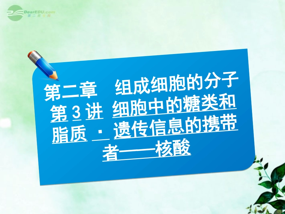 【三维方案】2013届高三生物一轮复习-1.2.3细胞中的糖类和脂质-遗传信息的携带者——核酸课件_第1页