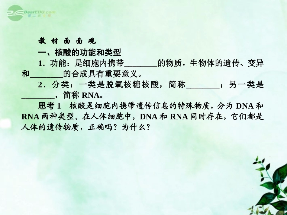 【三维方案】2013届高三生物一轮复习-1.2.3细胞中的糖类和脂质-遗传信息的携带者——核酸课件_第2页
